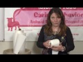 Nasıl Tuvalet Kağıdı Çözülmeyi Bir Kedi Tutmak İçin : Kedi Bakım İpuçları Resim 3