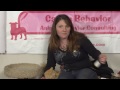 Nasıl Enfekte Yara s : Kedi Bakım İpuçları\Bir Kedi Tedavi etmek İçin  Resim 3