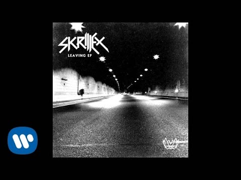 Skrillex - Nedeni