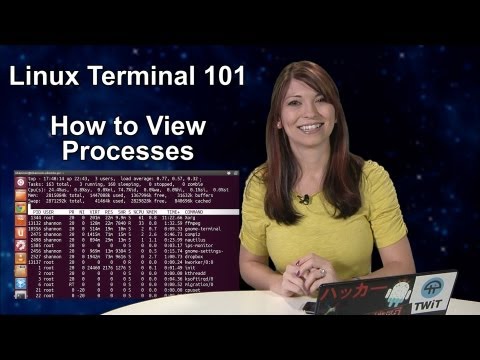 Haktip - Linux Terminal 101: Nasıl İşlemleri Görüntülemek İçin