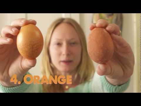 Hileler, Paskalya Geliştirmek İçin 7 Büyük Yumurta