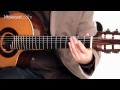 Temel Gitar Teknikleri Fingerpicking | Fingerstyle Gitar Resim 3