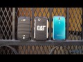 Kedi B15 Vs Galaxy S 4 Aktif, Kyocera Tork Ve Daha Fazlası