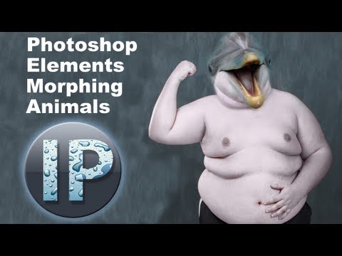 Photoshop Elements 11, 10 Geçişin Hayvanlar Photoshop Elemanları Eğitimi