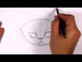 Kedi Çizim Ders Fantezi - Bir Egzotik Kedi Yüz Çizmek! -Mat