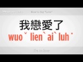 "aşk" Demeyi | Mandarin Çincesi Resim 3