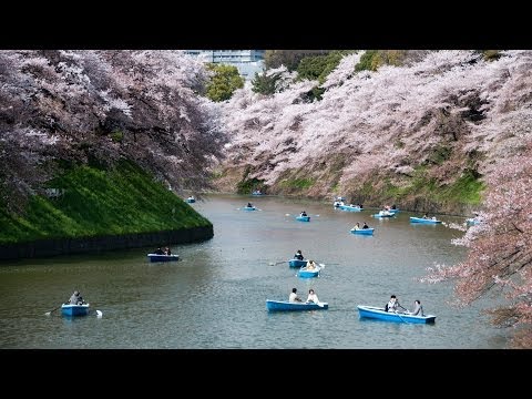 En İyi Zaman Ziyaret Etmek | Tokyo Seyahat