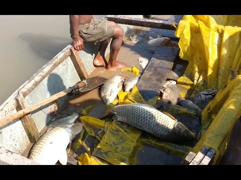 Aşırı Zalim Balıkçılık Yöntemleri