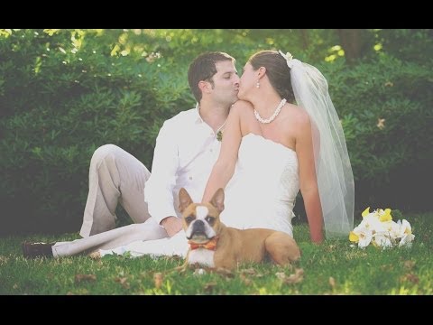 Photoshop - Düğün Fotoğraf Film Bak Fotoğraf Efekti