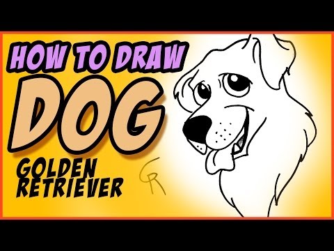 Nasıl Bir Köpek - Golden Retriever Çizim - Cc Beraberlik İçin