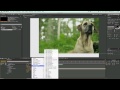 Adobe After Effects Temelleri 8: Gelişmiş İfadeler Ve Hazır Ayarları Resim 3