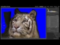 Göl Lightroom Rehberler - Zuschauerbilder: Susanns Kaplan Resim 3