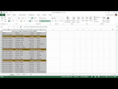 Microsoft Excel 2013 Eğitmeni - 14 - Biçim Boyacısı Ve Çalışma Kitaplarını Koruma