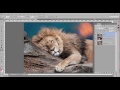 Photoshop Tutorial | Arka Plan Yaratıcı Leke Aracı İle Uyum Resim 3