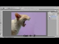 Photoshop İşleme Eğitimi | Kedi Duman Yangın Etkileri