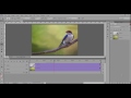 Photoshop Cc | Video Animasyon | 2D 3D Kaydırma Öğretici