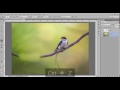 Photoshop Cc | Video Animasyon | 2D 3D Kaydırma Öğretici Resim 3