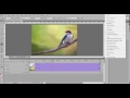 Photoshop Cc | Video Animasyon | 2D 3D Kaydırma Öğretici Resim 4